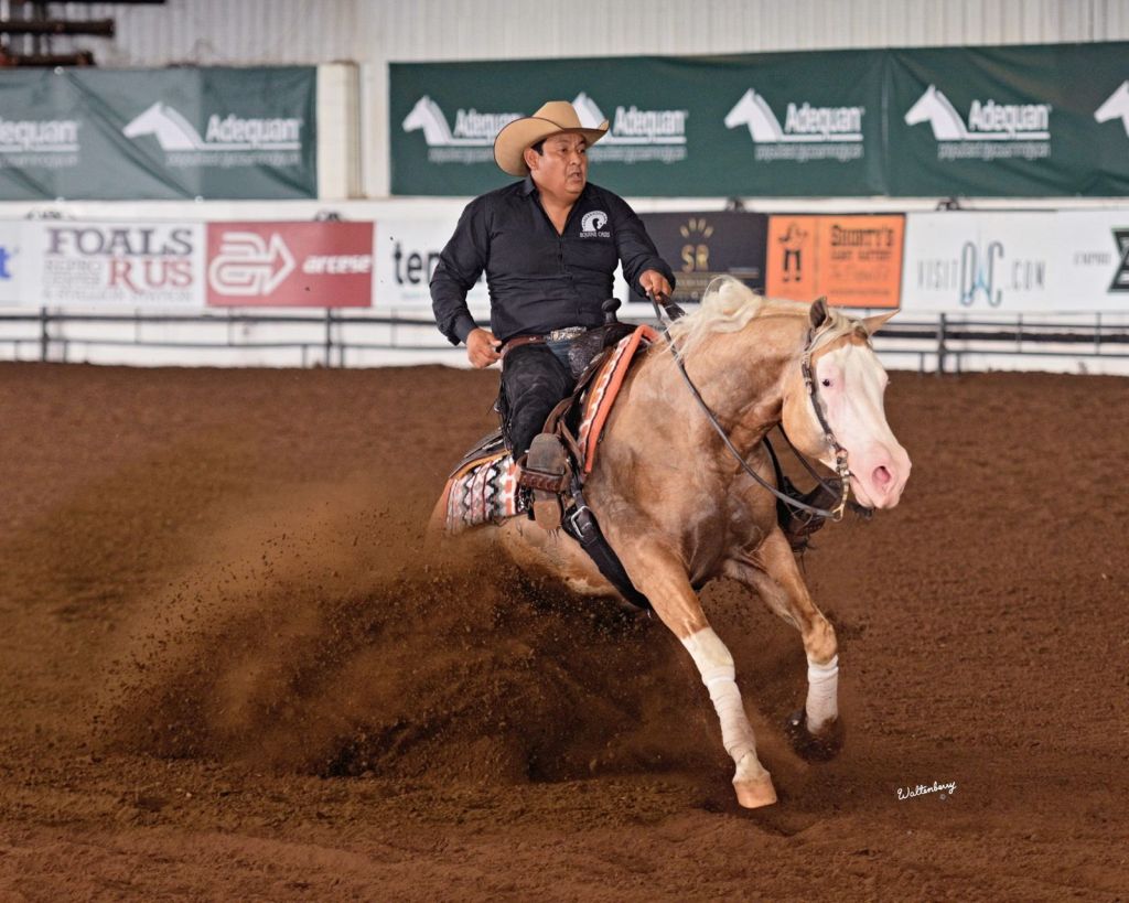 *COPA INTERNACIONAL DE NRHA COMO PARTE DE LOS EVENTOS DEPORTIVOS DE LA&nbsp;FENAPO*