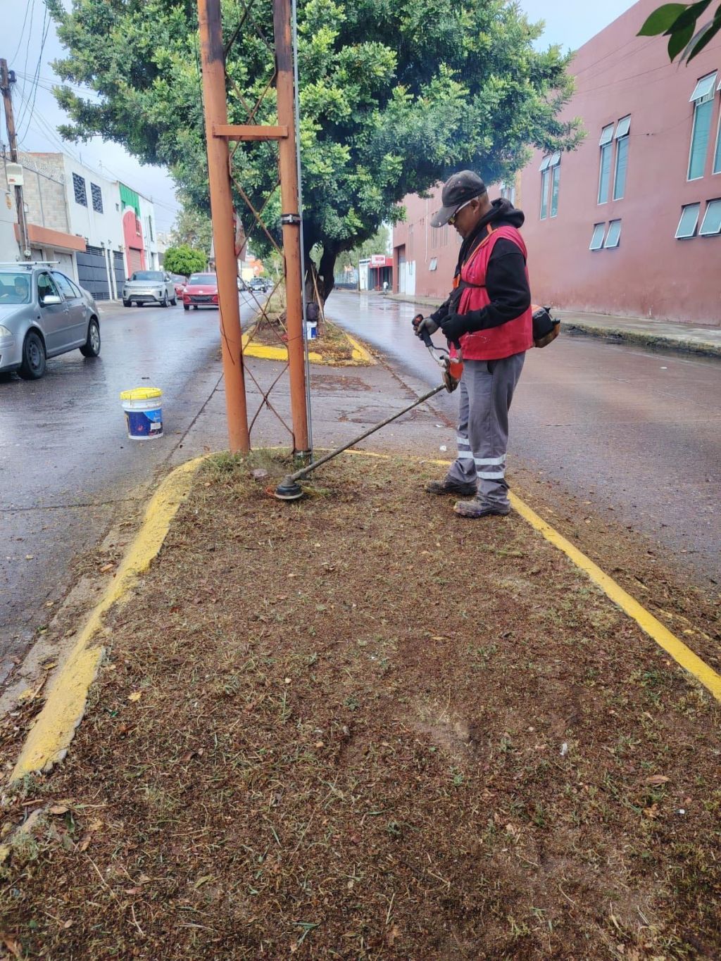 Mantiene Ayuntamiento de SLP acciones permanentes de mejoramiento&nbsp;urbano