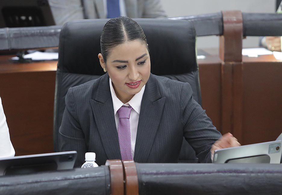 FUERON APROBADAS REFORMAS A LA LEY DE LOS DERECHOS DE NIÑAS, NIÑOS Y ADOLESCENTES PARA INCORPORAR EL CONCEPTO DE VIOLENCIA CONTRA ESTE SECTOR