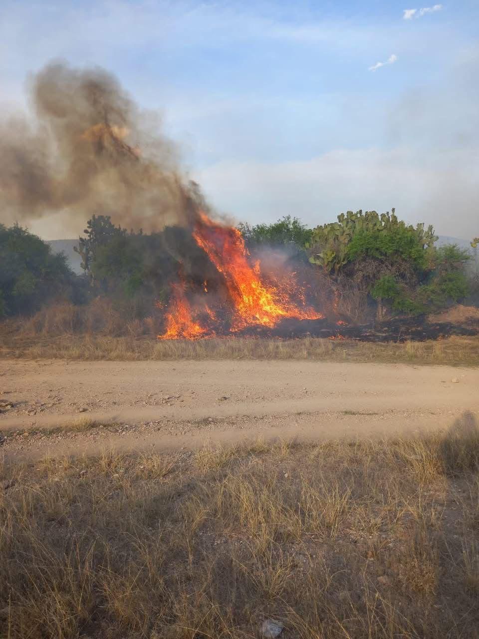 Gobierno de la Capital atiende oportunamente incendios en la Delegación&nbsp;Bocas.