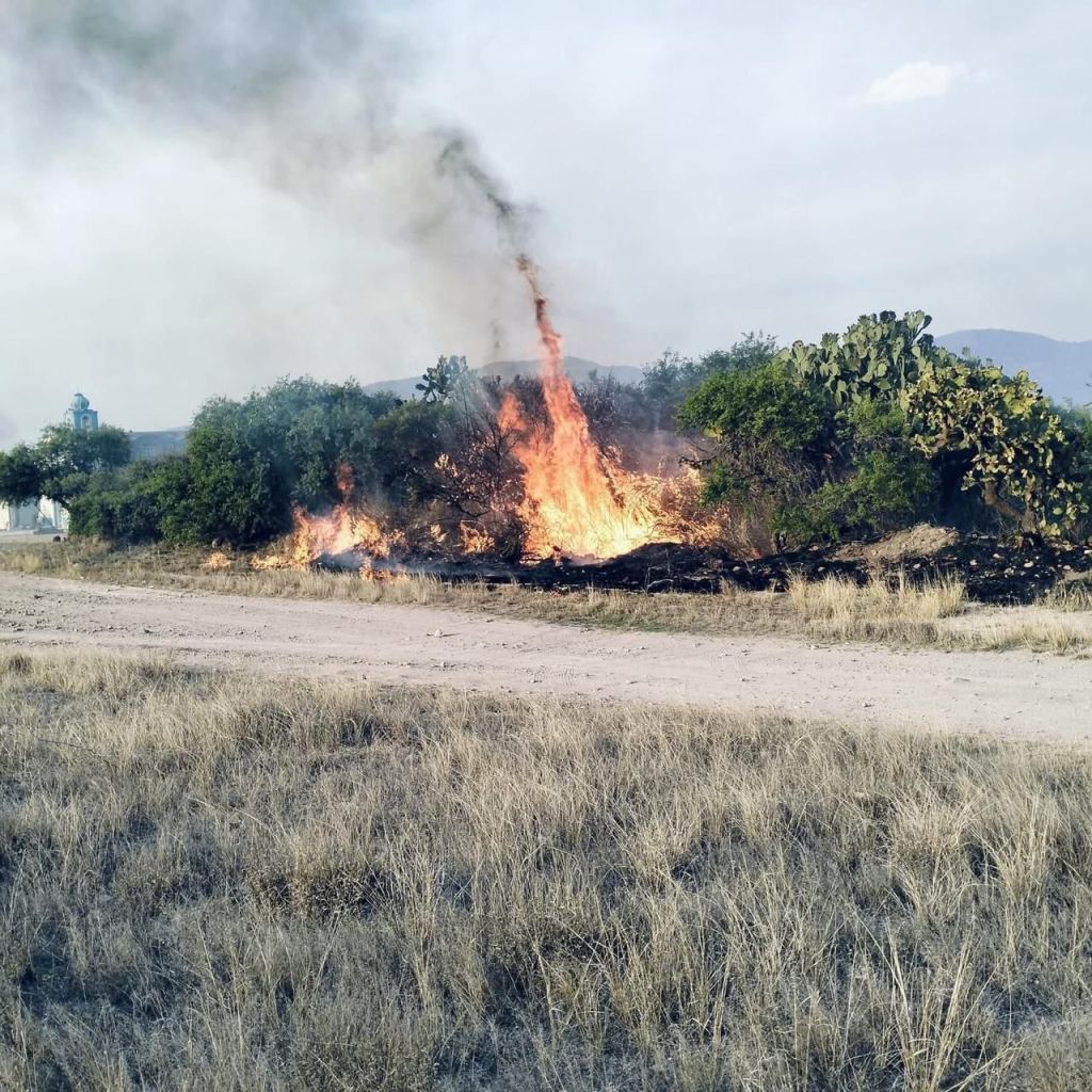 Gobierno de la Capital atiende oportunamente incendios en la Delegación&nbsp;Bocas.