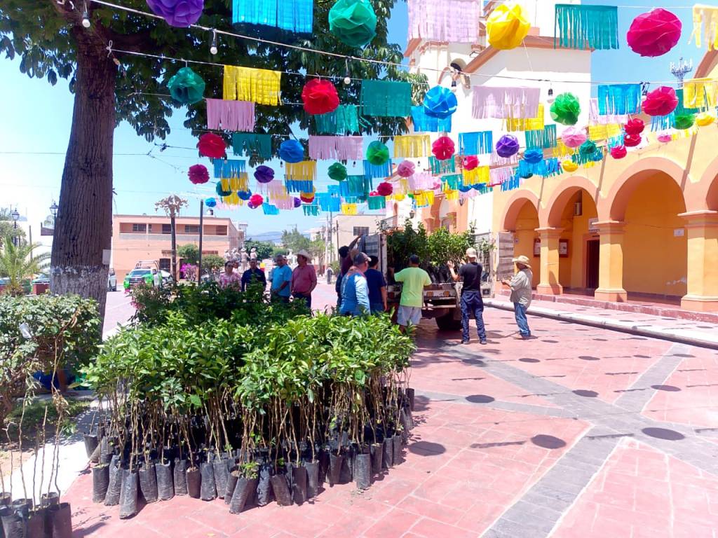 ESTADO FORTALECE SU ENTORNO CON REFORESTACIÓN&nbsp;PRODUCTIVA