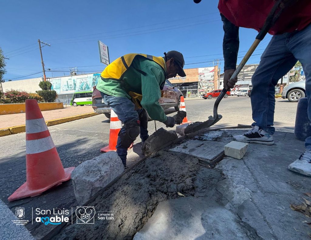 Gobierno de la Capital refuerza seguridad peatonal en Reforma y Pedro&nbsp;Moreno