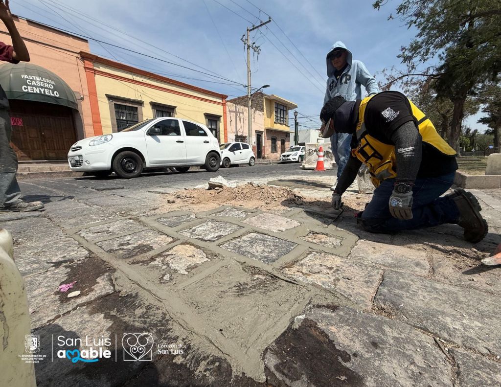 Gobierno de la Capital mejora la imagen urbana de la Calzada de&nbsp;Guadalupe
