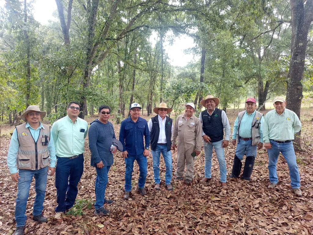 GOBIERNO ESTATAL APLICA “PLAN PILOTO” CONTRA GUSANO&nbsp;BARRENADOR
