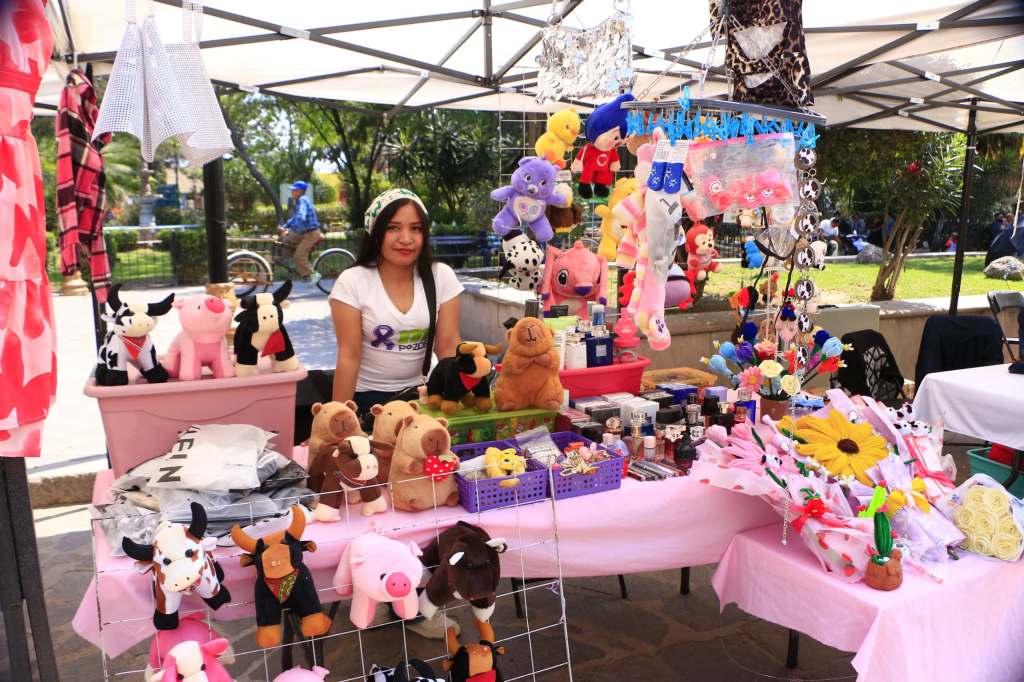 INSTANCIA DE LA MUJER IMPULSA EL EMPRENDIMIENTO FEMENINO EN VILLA DE&nbsp;POZOS