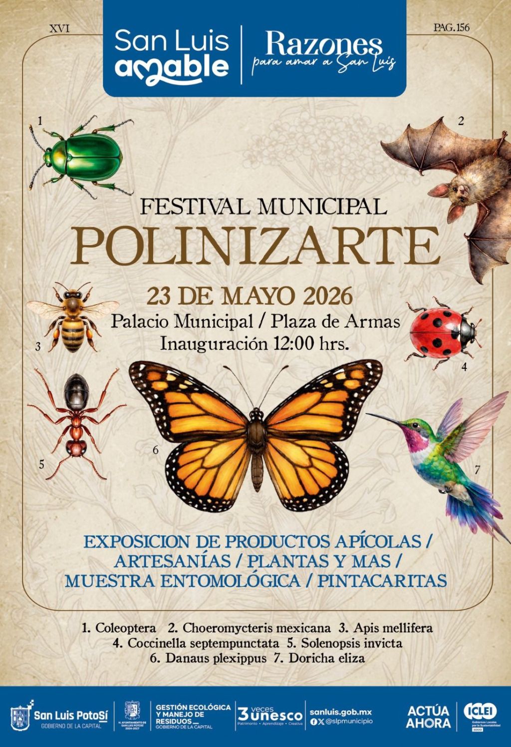 Invita Gobierno de San Luis Capital al “Festival Municipal Polinizarte”