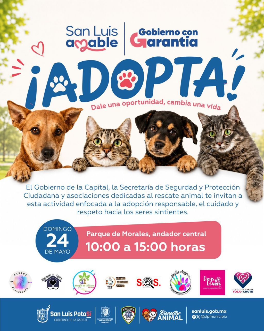 Gobierno de la Capital y asociaciones civiles impulsan Jornada de Adopción Responsable en favor del bienestar animal
