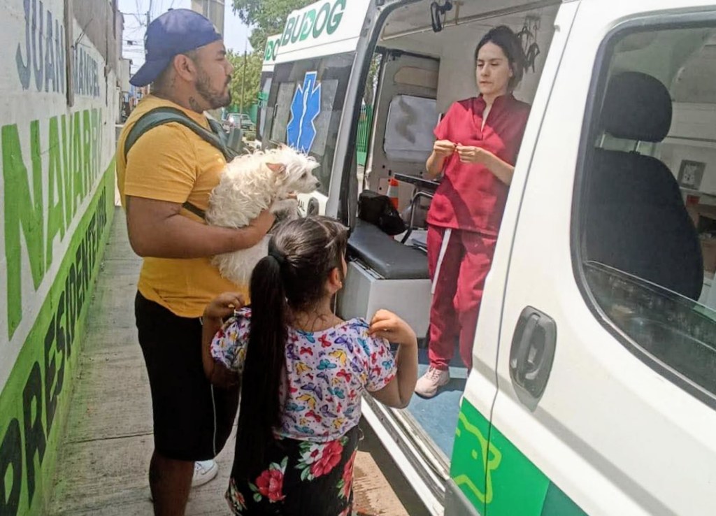 AMBUDOG ACERCA SERVICIOS VETERINARIOS GRATUITOS A CIENTOS DE COLONIAS DE&nbsp;SOLEDAD