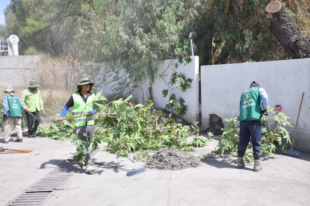 GOBIERNO DE SOLEDAD IMPLEMENTA LIMPIEZA PREVENTIVA ANTE PRONÓSTICO DE LLUVIA