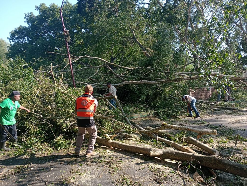 GOBIERNO ESTATAL ATIENDE AFECTACIONES POR LLUVIAS EN LA HUASTECA