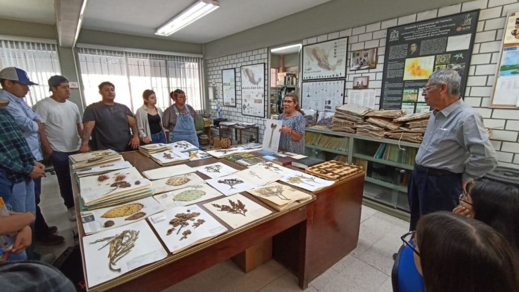 Herbario Isidro Palacios de la UASLP, patrimonio científico que resguarda la riqueza vegetal de San Luis Potosí