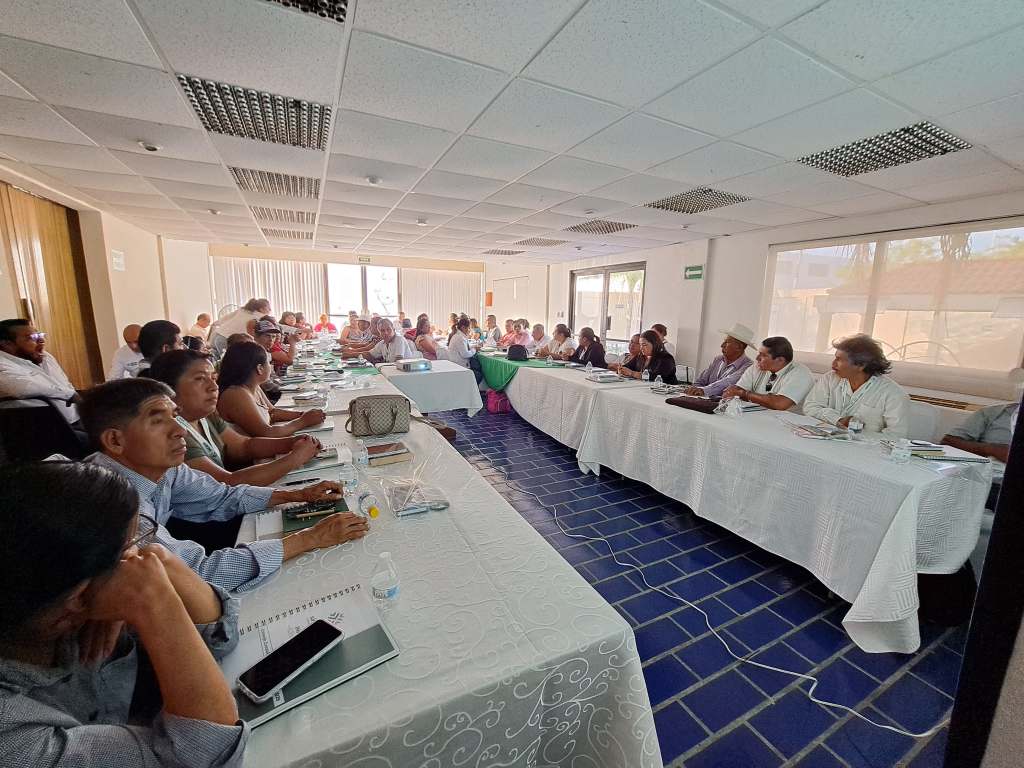 GOBIERNO ESTATAL FORTALECE PARTICIPACIÓN DE PUEBLOS ORIGINARIOS