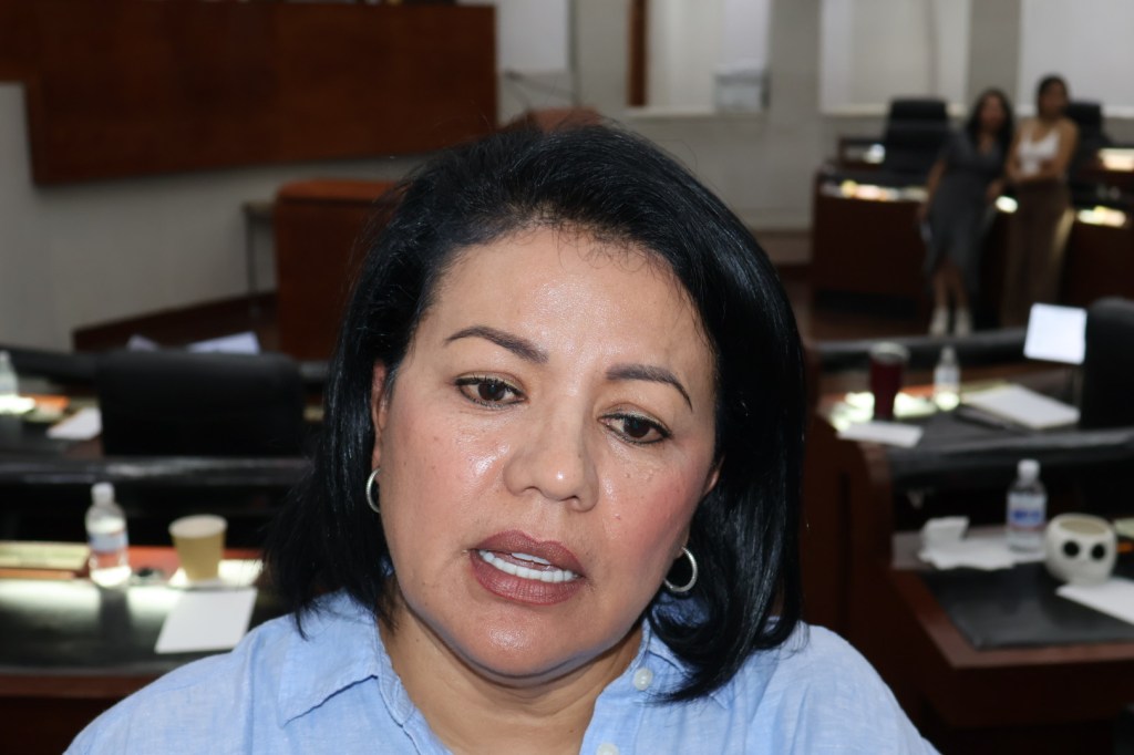 Presidenta de la Comisión de la Niñez denuncia desabasto de medicamentos ante la temporada de&nbsp;calor.