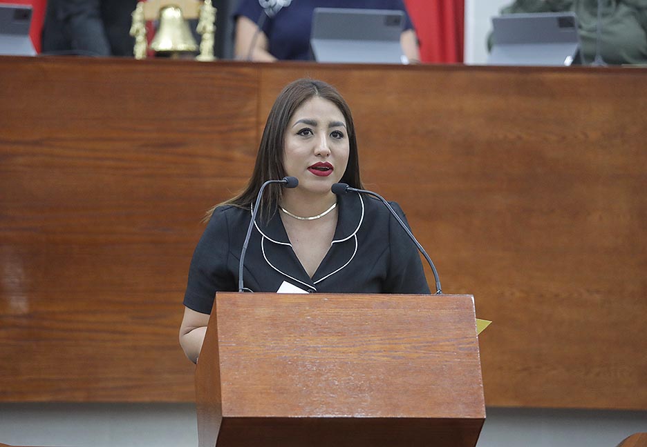 SE BUSCA OTORGAR CERTEZA JURÍDICA Y PROTECCIÓN A FAMILIAS DE TITULARES DE PERMISOS TEMPORALES PARA TRASPORTE PÚBLICO.