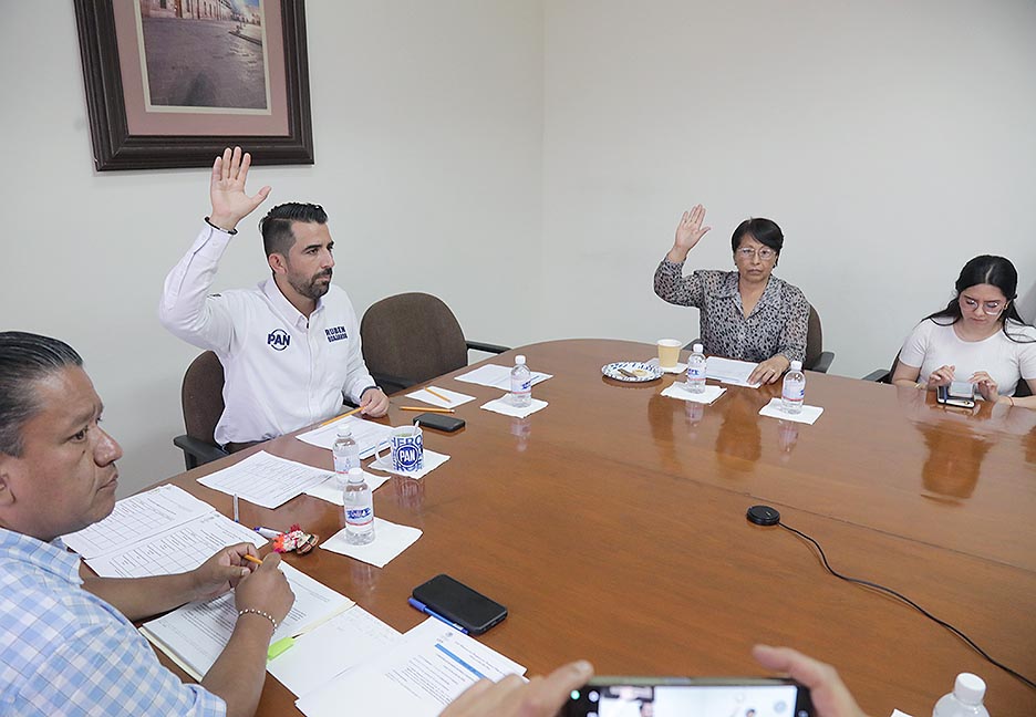 BIENES DEL TRIBUNAL ELECTORAL SON INEMBARGABLES Y MECANISMO DE ELECCIÓN DE SU PRESIDENCIA, GARANTIZA UNA TRANSICIÓN PLANIFICADA, TERSA Y&nbsp;ORDENADA