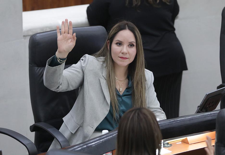 INICIATIVA DE REFORMA A LA LEY DE ACCESO DE LAS MUJERES A UNA VIDA LIBRE DE&nbsp;VIOLENCIA.