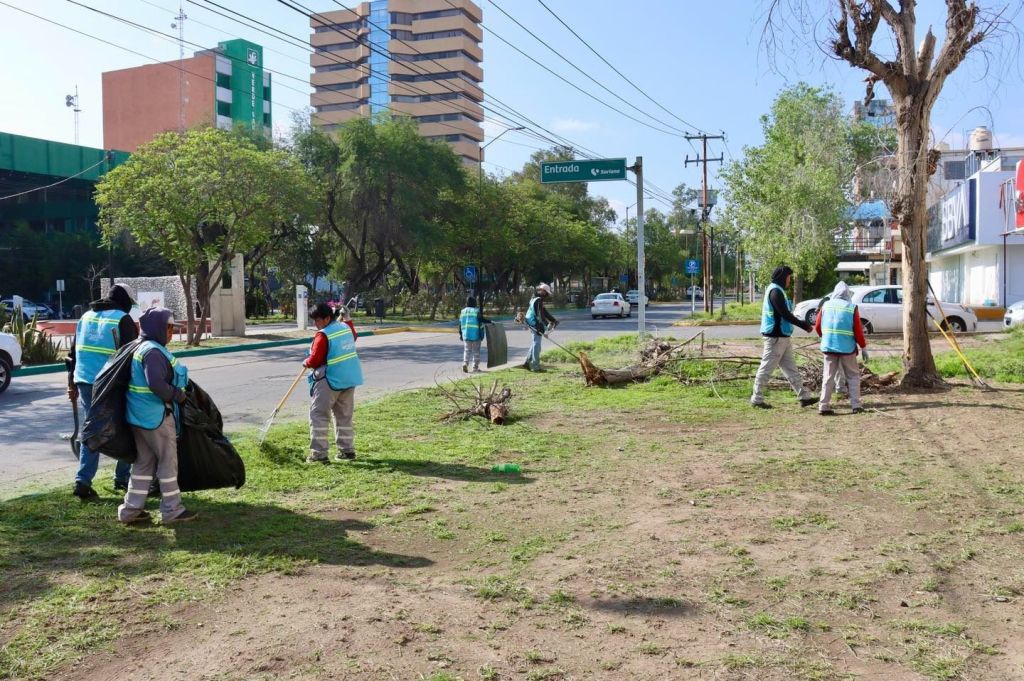 Gobierno de la Capital intensifica trabajos de mantenimiento en importantes&nbsp;avenidas