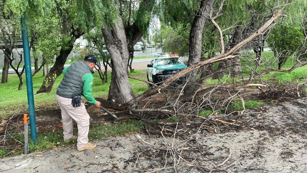 GOBIERNO ESTATAL REFUERZA ACCIONES PREVENTIVAS EN LOS PARQUES TANGAMANGA