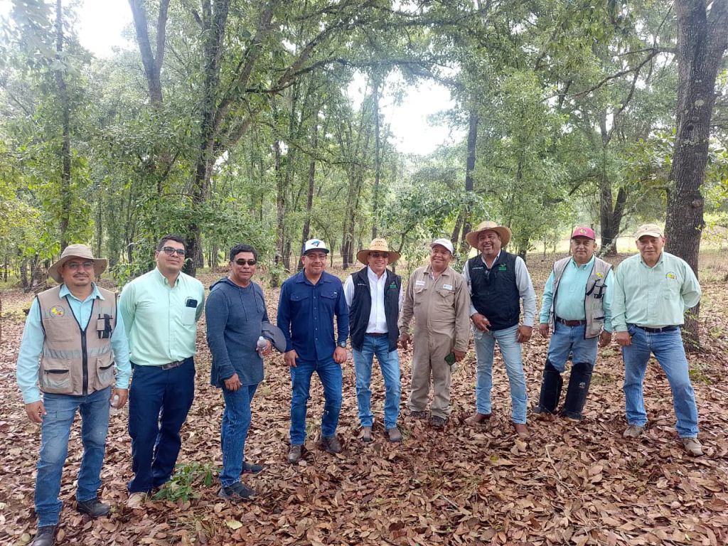 GOBIERNO ESTATAL REFUERZA ACCIONES CONTRA EL GUSANO BARRENADOR