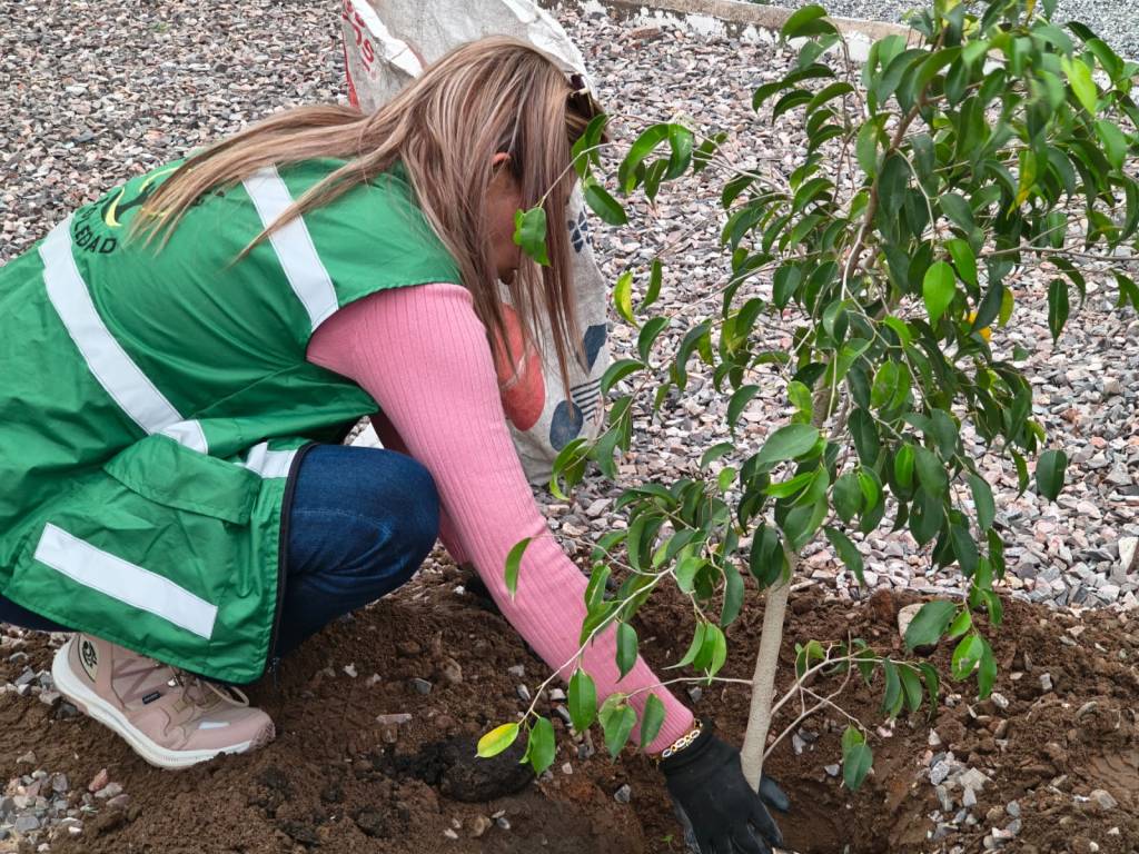 AYUNTAMIENTO DE SOLEDAD ENVERDECE CON MÁS REFORESTACIÓN EL PARQUE&nbsp;LINEAL