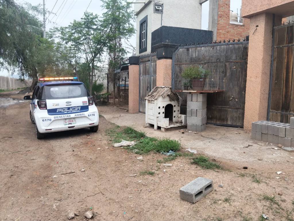 Bienestar Animal Municipal interpuso denuncia ante Fiscalía por presunto maltrato animal en Fracción&nbsp;Milpillas