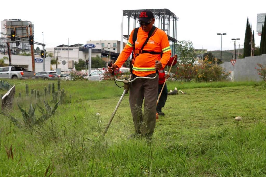 Gobierno de la Capital refuerza mantenimiento en la Glorieta de la salida a Guadalajara