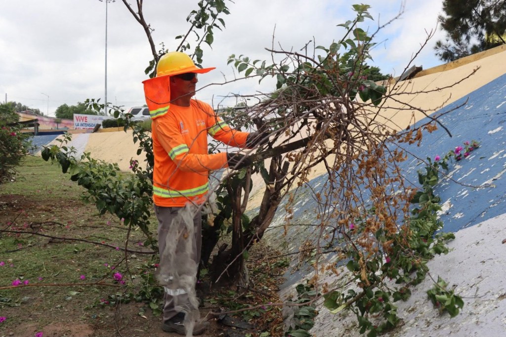 Gobierno de la Capital realiza labores de limpieza y mantenimiento en la Avenida Salvador&nbsp;Nava