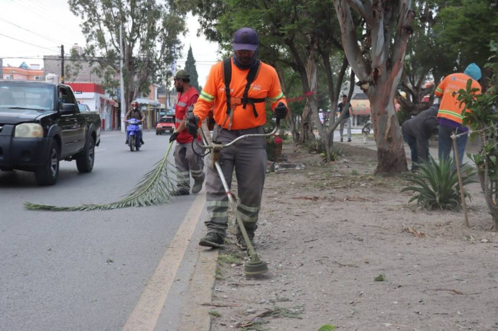 Gobierno de la Capital intensifica mantenimiento de vialidades y áreas&nbsp;verdes