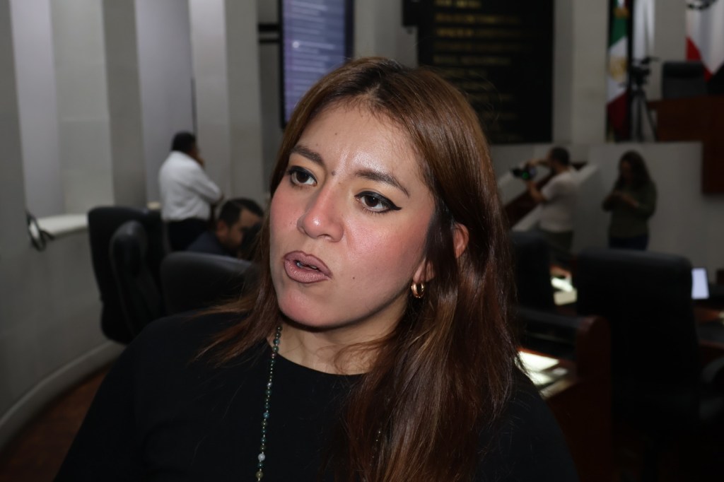 EXIGEN PASAR A LAS ACCIONES LEGALES Y DECISIONES DEFINITIVAS CONTRA LA OPERADORA DE EL REALITO: PRESIDENTA DE COMISIÓN DE&nbsp;AGUA