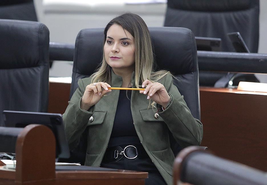 PRESENTA LA DIP. MARÍA DOLORES ROBLES INICIATIVA PARA QUE LOS VEHÍCULOS NUEVOS OBTENGAN PLACAS EN UN PLAZO DE 15&nbsp;DIAS