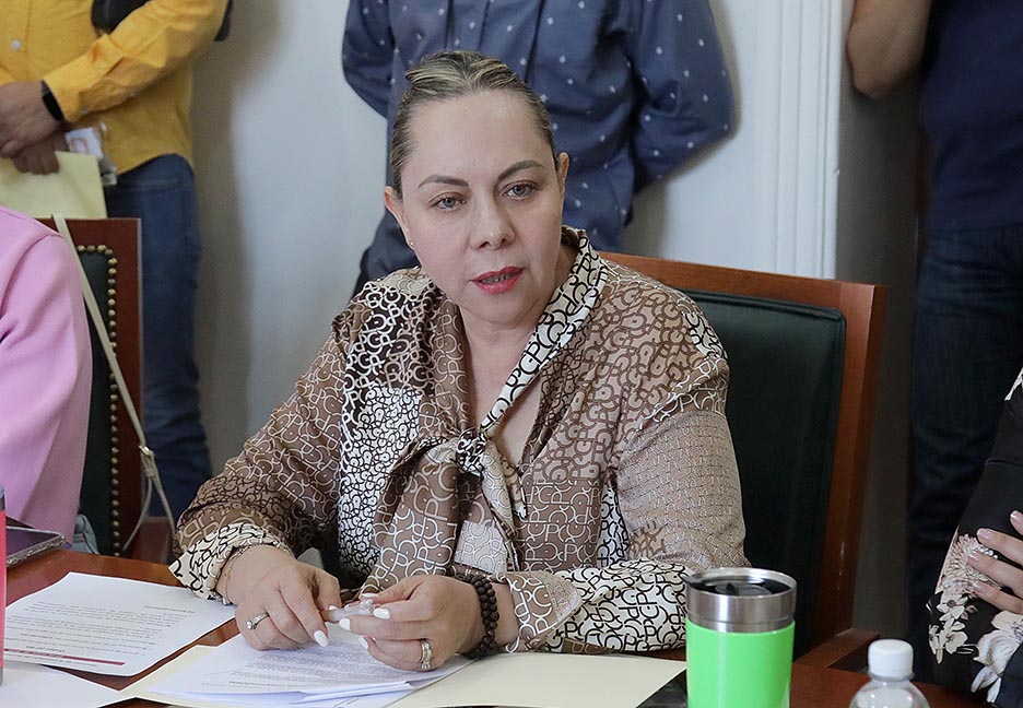 NECESARIO FORTALECER LA IGUALDAD SUSTANTIVA Y LA PROTECCIÓN DE LOS DERECHOS SEXUALES Y REPRODUCTIVOS DE LAS MUJERES: DIP. MA. SARA ROCHA&nbsp;MEDINA