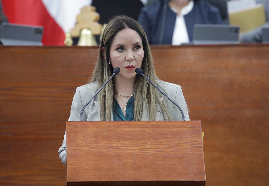 SE BUSCA FORTALECER LA SEGURIDAD DE LAS PERSONAS EN ESPACIOS PÚBLICOS ANTE USO DE ARMAS DE FUEGO, DETONACIÓN DE ARTEFACTOS O USO DE SUSTANCIAS QUÍMICAS&nbsp;INFLAMABLES.