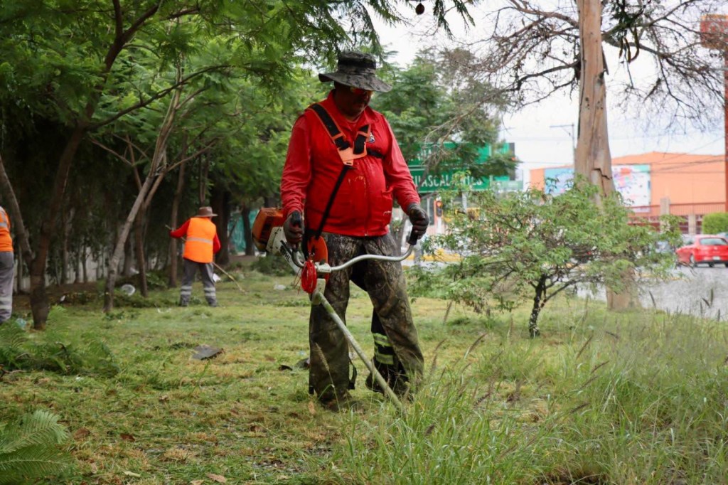 Gobierno de la Capital mantiene en óptimas condiciones la Avenida Salvador&nbsp;Nava