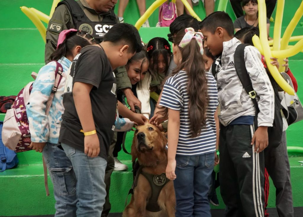 SEER ACERCA LA LECTURA A NIÑAS Y NIÑOS EN ESTE VERANO