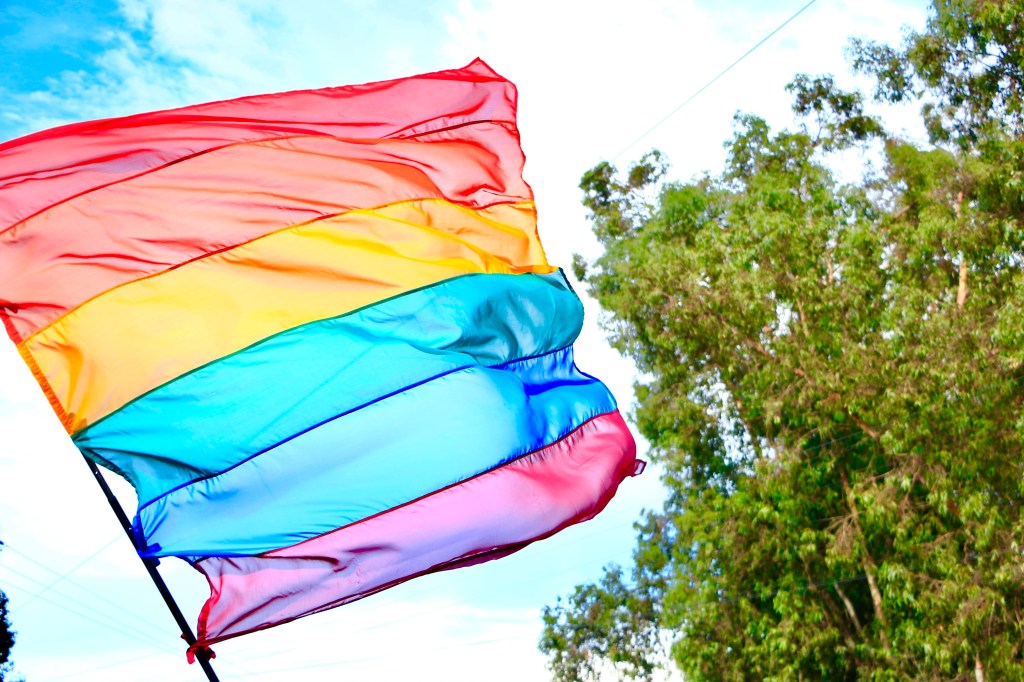 VILLA DE POZOS REAFIRMA SU COMPROMISO CON LA INCLUSIÓN DURANTE LA SEGUNDA MARCHA POR EL ORGULLO LGBTQ+