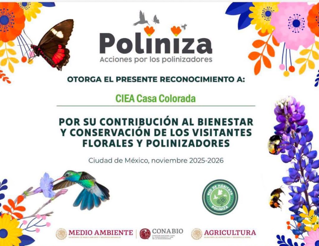 CIEA Casa Colorada recibe reconocimiento por su compromiso con la conservación de polinizadores