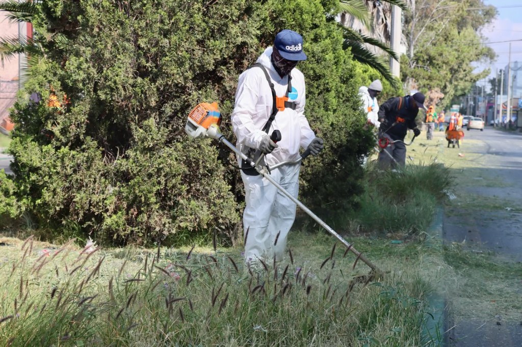 Capital al 100 transforma la Colonia Esmeralda con una jornada integral de limpieza y mejoramiento urbano