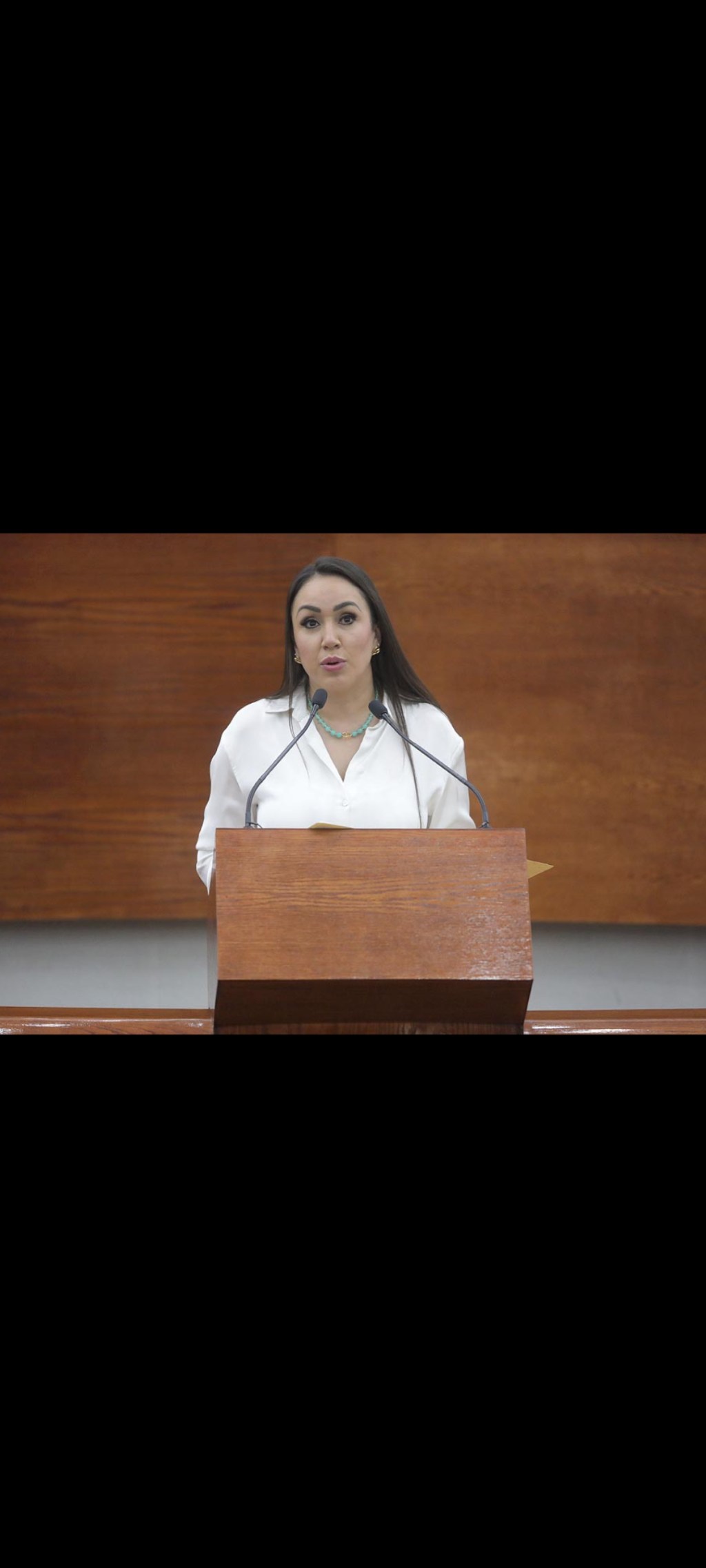 SE PROPONE REFORMA A LA LEY DE FOMENTO A LA LECTURA DEL ESTADO DE SAN LUIS POTOSÍ, PARA BRINDAR PROMOCIÓN A LAS Y LOS AUTORES, ESCRITORES Y CREADORES LOCALES