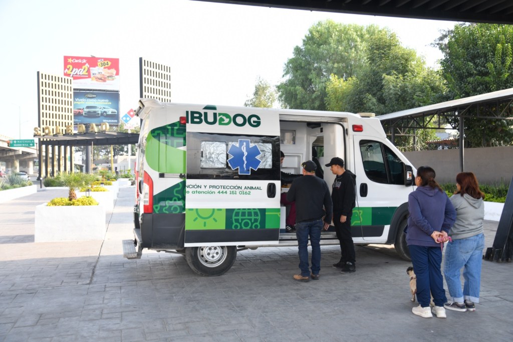 BorraUNIDAD AMBUDOG EN SOLEDAD MANTIENE VACUNACIÓN ANTIRRÁBICA GRATUITAdor automático