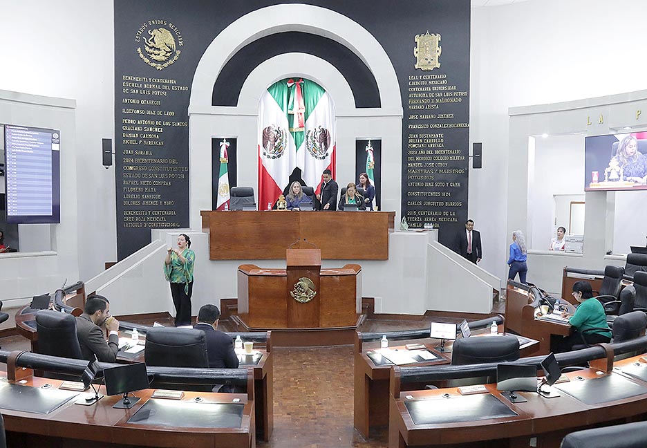 SE PROPONE LA DEFINICIÓN DE “PERSPECTIVA DE PERSONA ADULTA MAYOR”, PARA EL ESTABLECIMIENTO DE POLÍTICAS PÚBLICAS A SU&nbsp;FAVOR