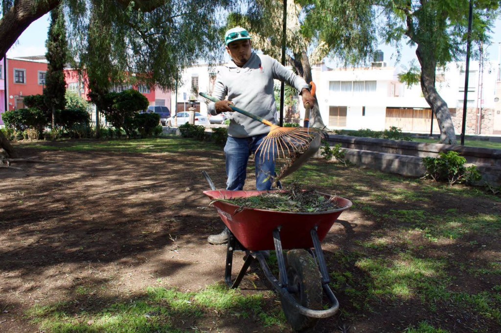 Gobierno de la Capital preserva el Jardín de San Miguelito con mantenimiento permanente