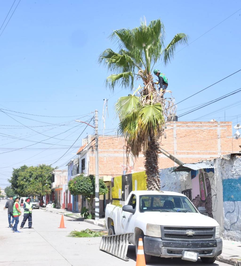 CON PERSONAL CAPACITADO, AYUNTAMIENTO DE SOLEDAD PREVIENE RIESGOS DE CABLEADO&nbsp;ELÉCTRICO