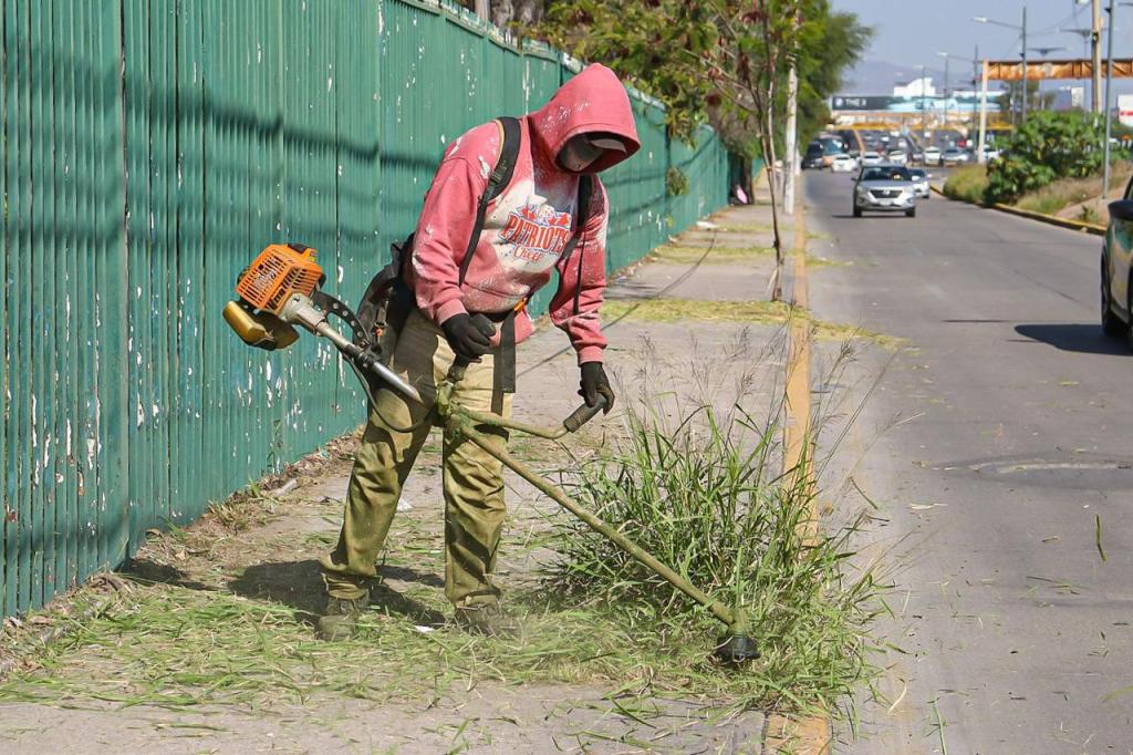 PARQUES TANGAMANGA RECIBEN MANTENIMIENTO&nbsp;PERMANENTE