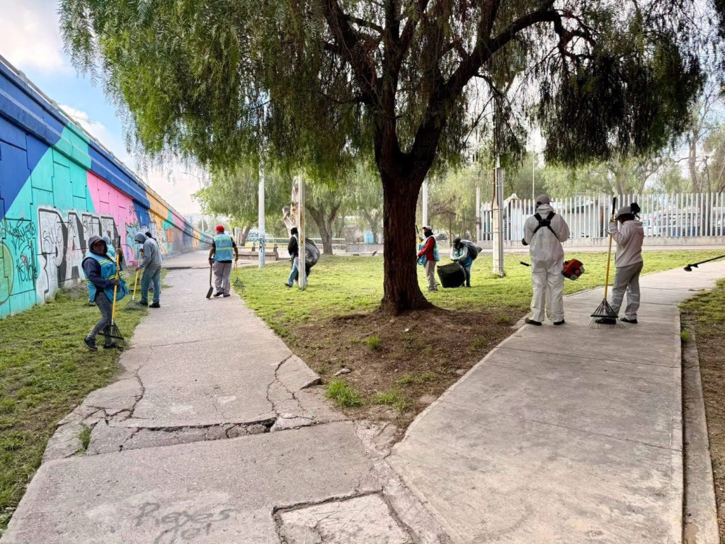 Rehabilita Gobierno Municipal áreas verdes en la intersección de Av. Salvador Nava y Av.&nbsp;Juárez