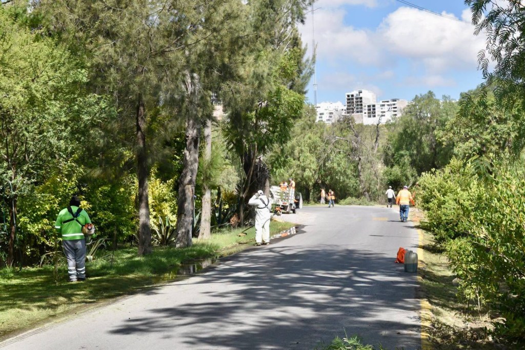 Gobierno de la Capital realiza labores de limpieza y mantenimiento en el tradicional Camino a la&nbsp;Presa