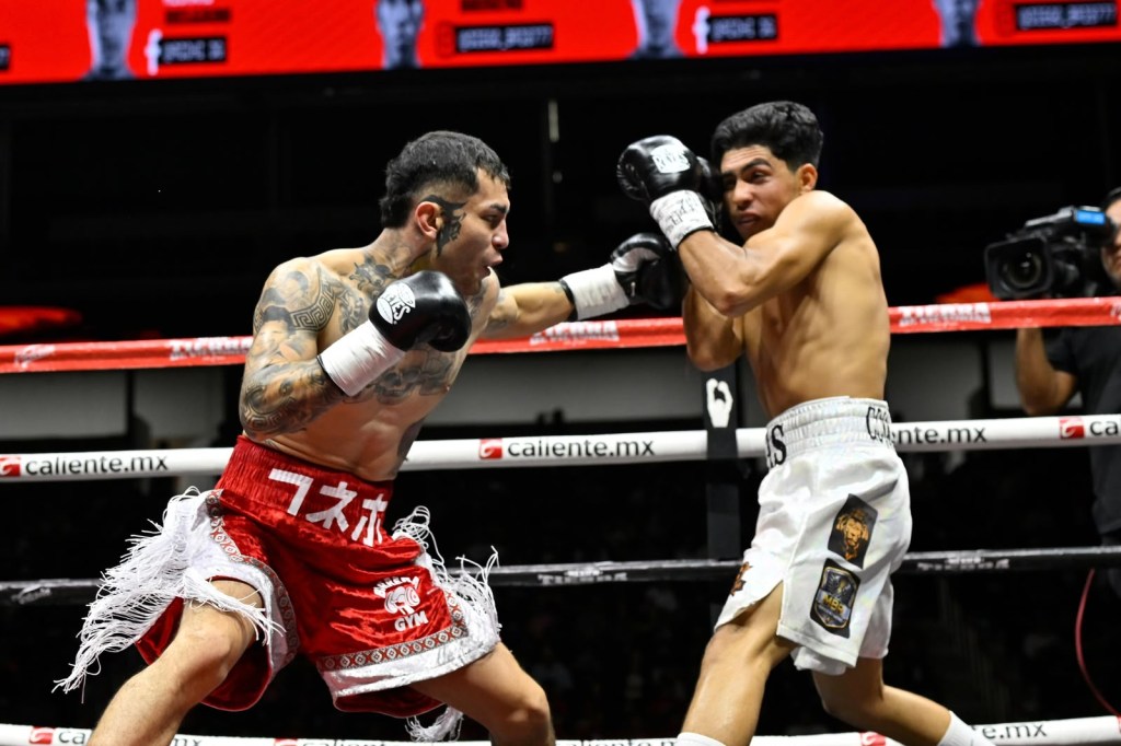 EXITOSA FUNCIÓN DE BOXEO “MÉXICO TIERRA DE VICTORIAS” EN LA ARENA&nbsp;POTOSÍ