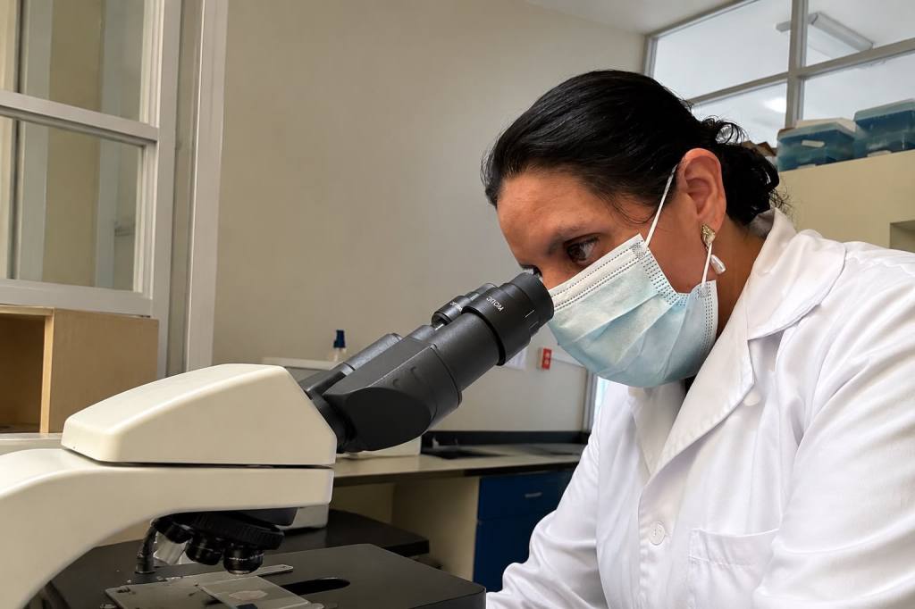 Investigación universitaria busca nuevas estrategias para comprender y atender el cáncer desde una perspectiva&nbsp;ambiental