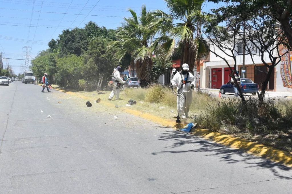 Gobierno de la Capital mejora imagen y condiciones de avenida&nbsp;Observatorio