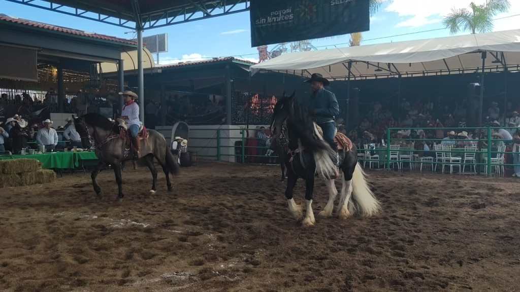 SAN LUIS POTOSÍ LOGRA DOS TRIUNFOS EN CAMPEONATO NACIONAL DE CABALLOS BAILADORES